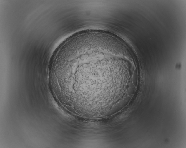 X0000110700935200906261404