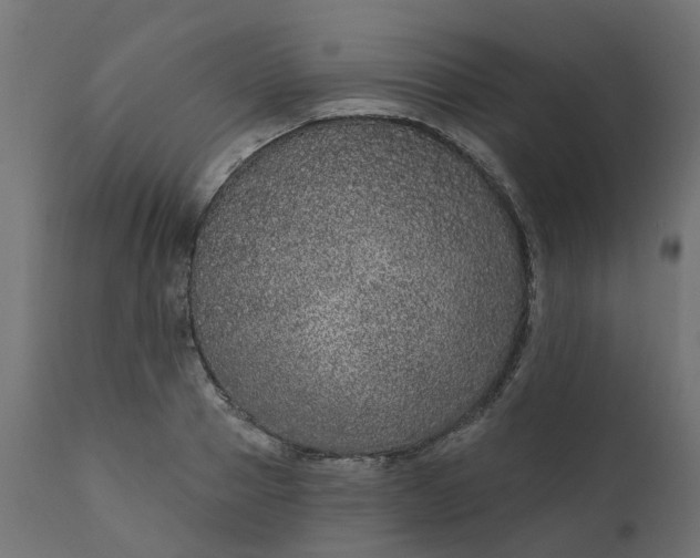 X0000110700937200906261404