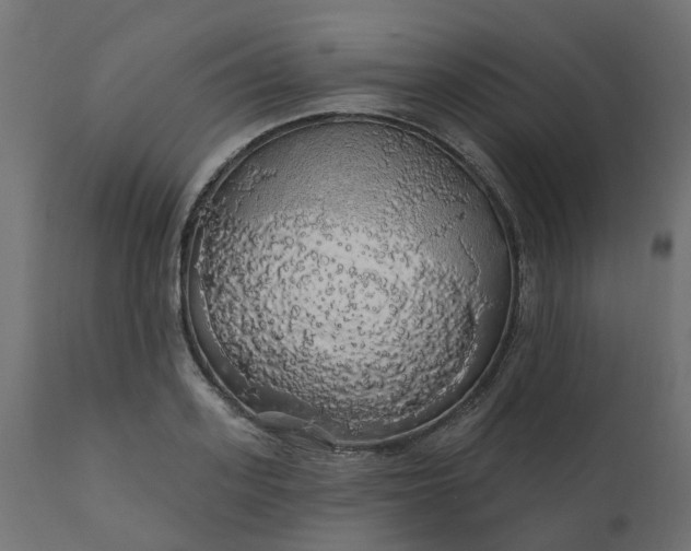 X0000110700939200906261404