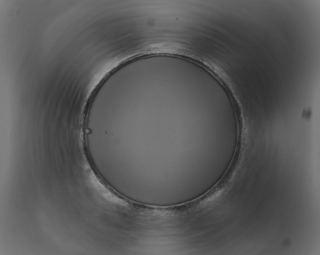 X0000110700941200906261404