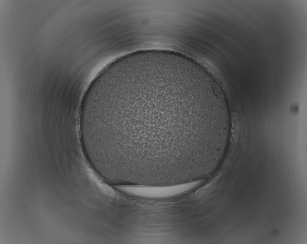 X0000110700942200906261404