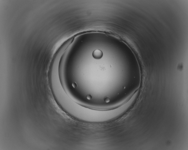 X0000110700944200906261404