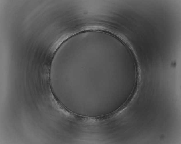 X0000110700945200906261404