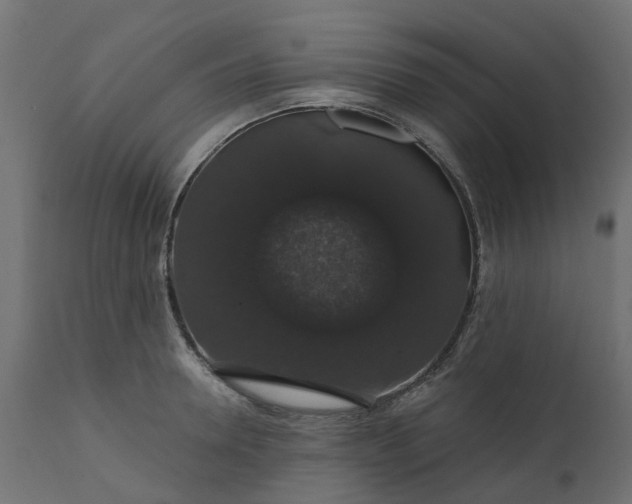 X0000110700946200906261404