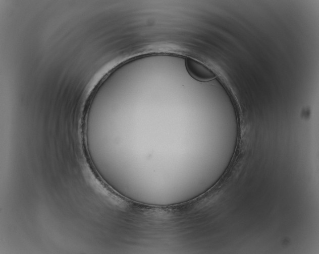 X0000110700947200906261404