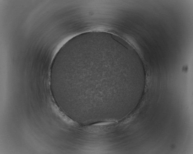 X0000110700948200906261404