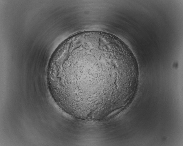 X0000110700949200906261404