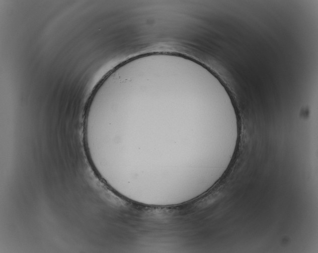 X0000110700950200906261404