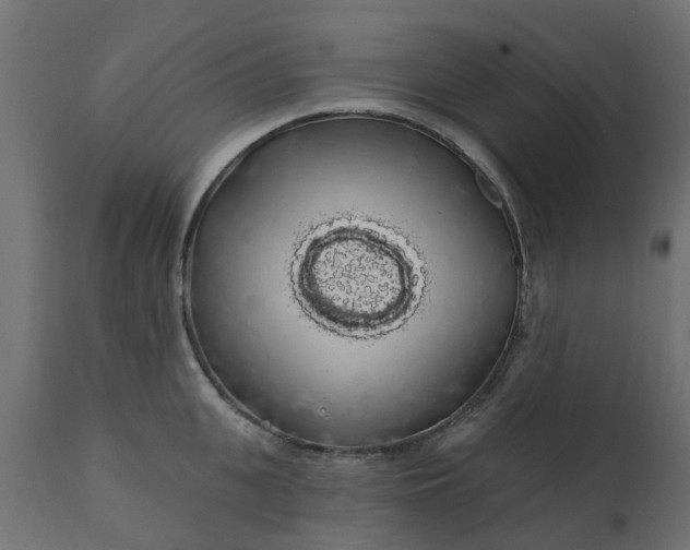 X0000110700951200906261404