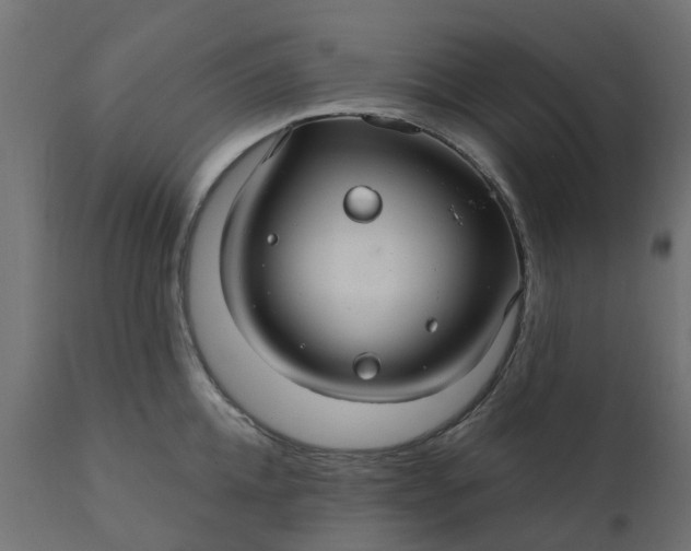 X0000110700952200906261404