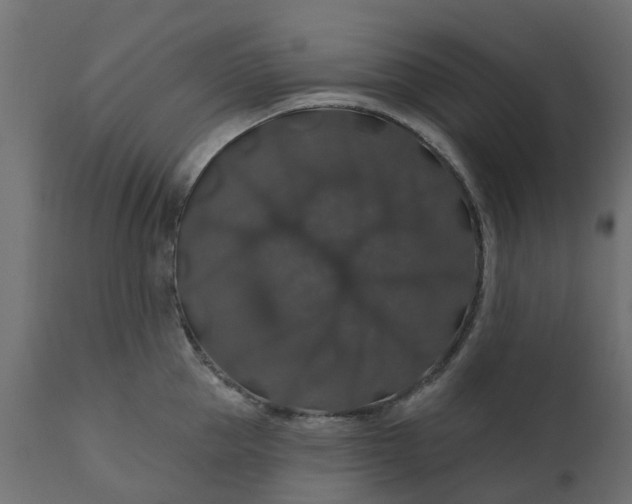 X0000110700953200906261404