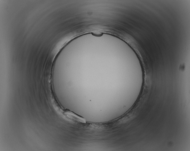 X0000110700954200906261404