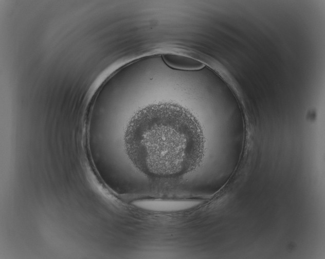 X0000110700955200906261404