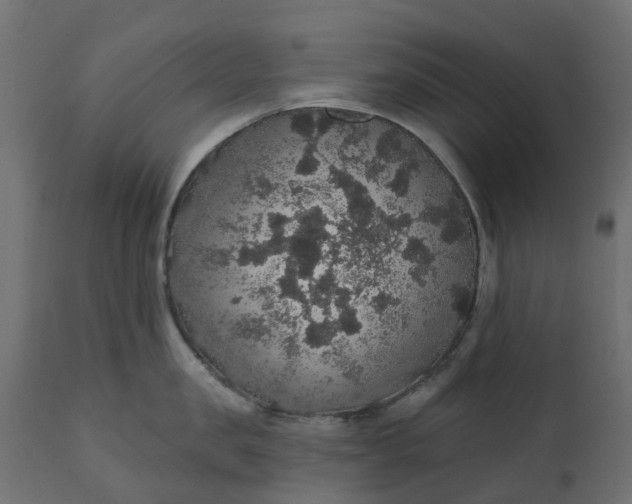 X0000110700957200906261404