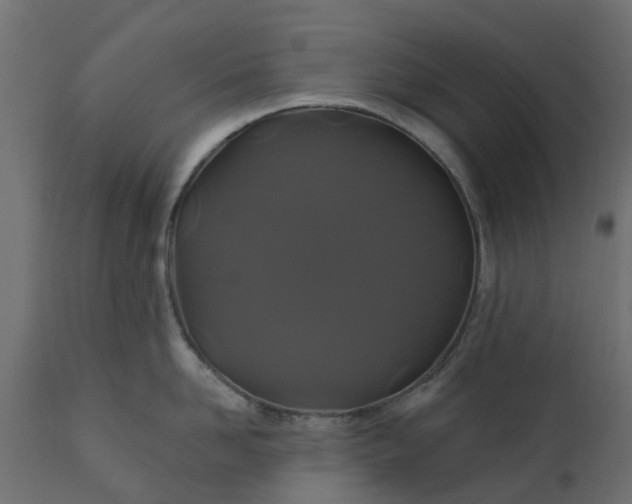 X0000110700958200906261404