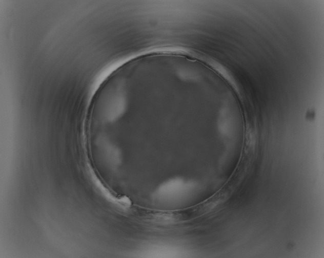 X0000110700959200906261404