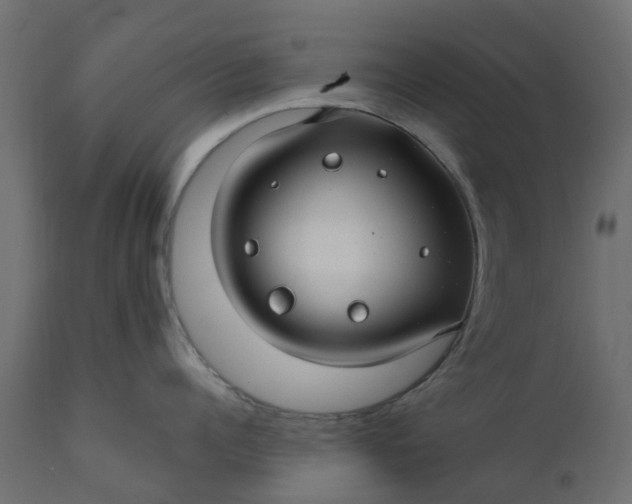 X0000110700960200906261404