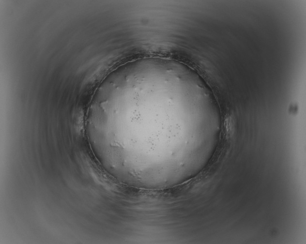 X0000110700963200906261404