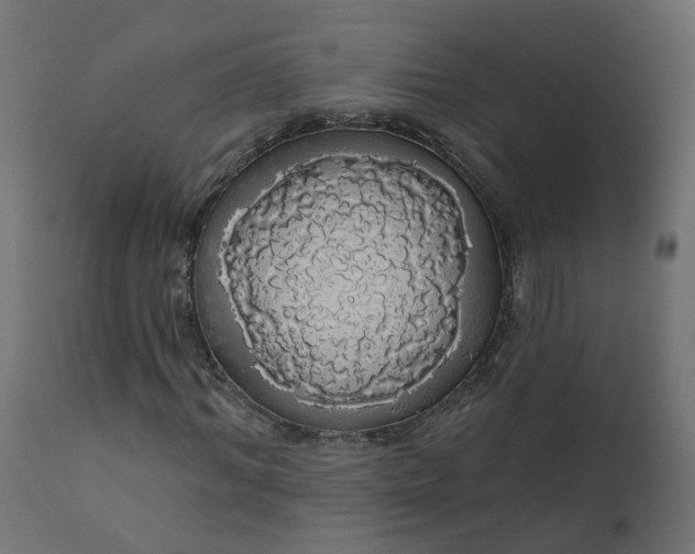 X0000110700964200906261404