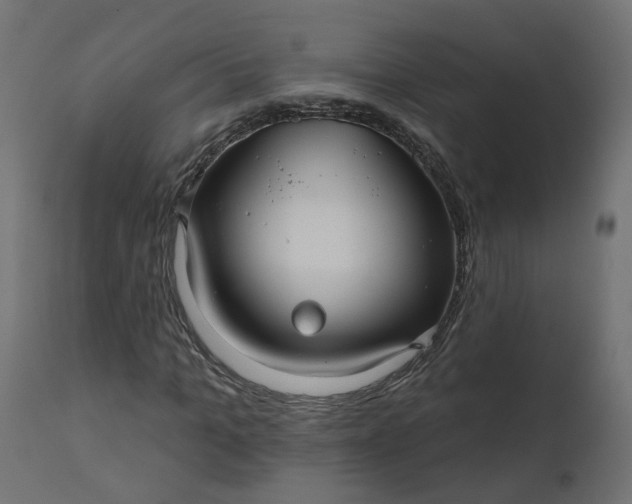 X0000110700965200906261404