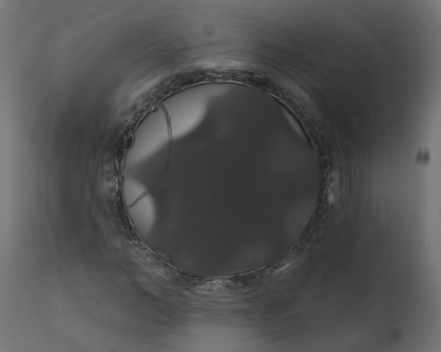 X0000110700966200906261404