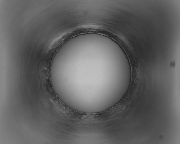 X0000110700967200906261404