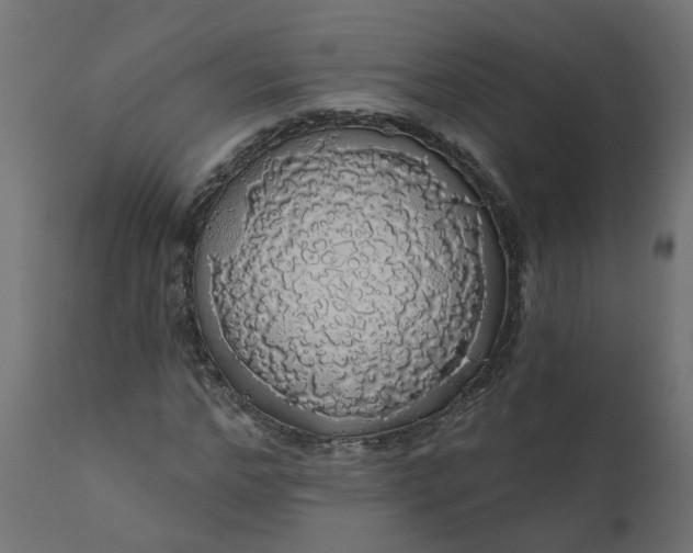 X0000110700968200906261404