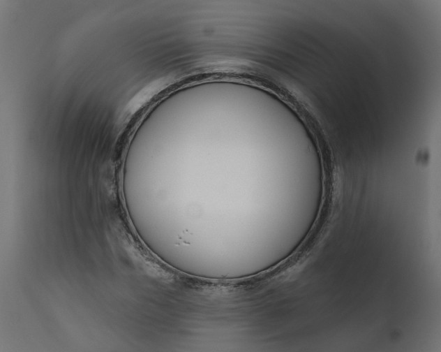 X0000110700970200906261404