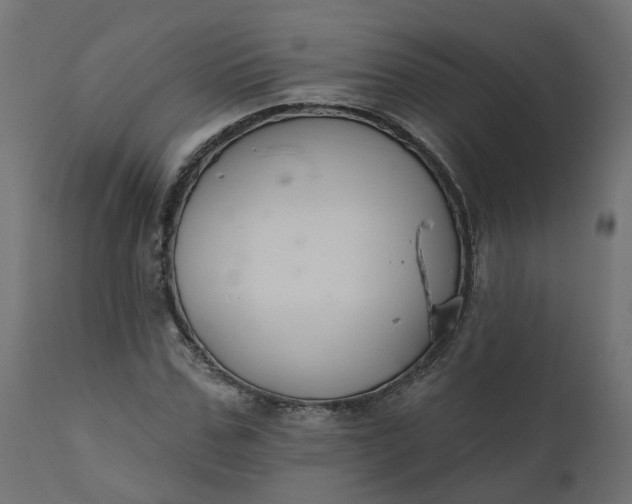 X0000110700971200906261404