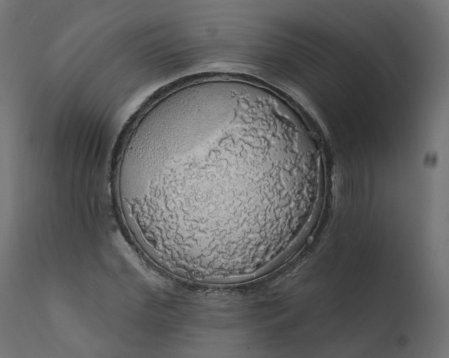 X0000110700972200906261404