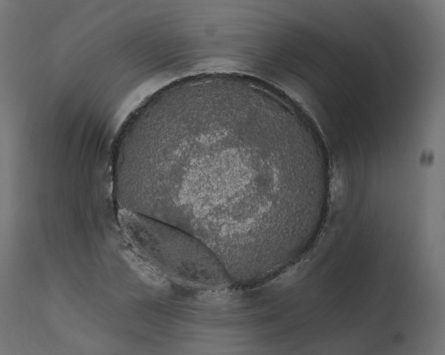 X0000110700973200906261404