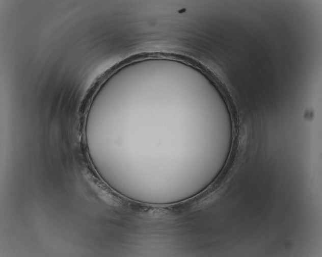 X0000110700974200906261404