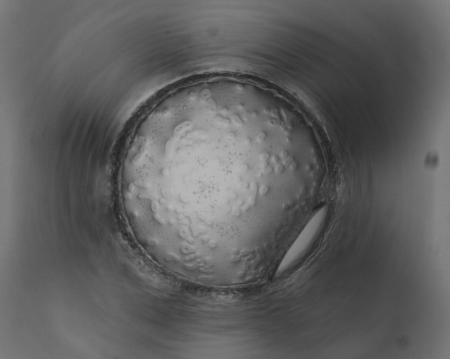 X0000110700975200906261404