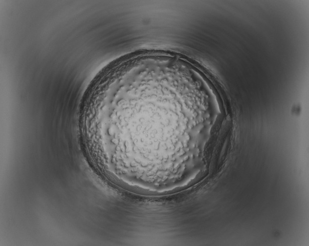 X0000110700976200906261403