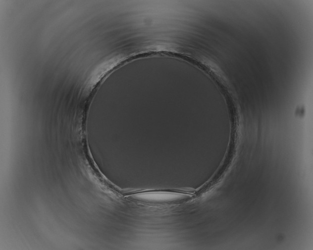 X0000110700977200906261403