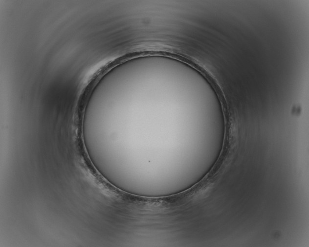 X0000110700979200906261403