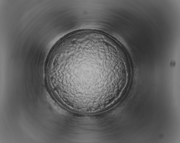 X0000110700980200906261403