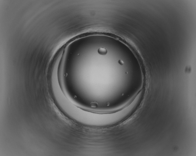 X0000110700981200906261403