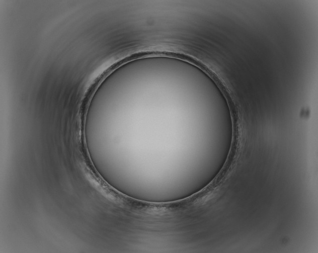 X0000110700982200906261403