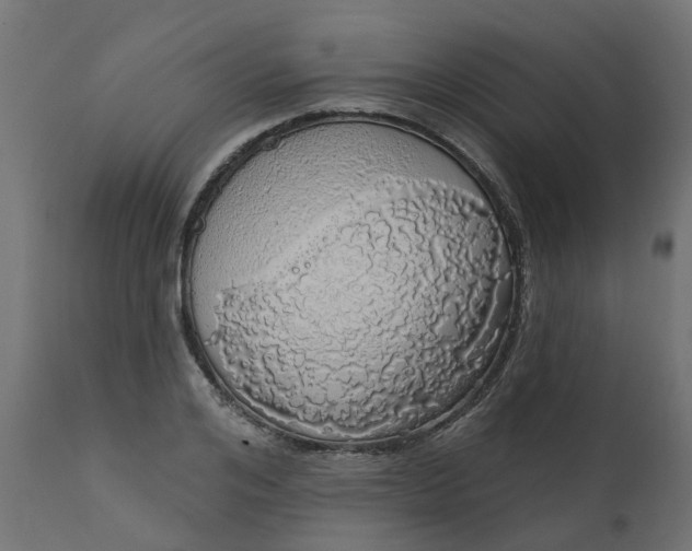 X0000110700984200906261403