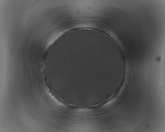 X0000110700985200906261403