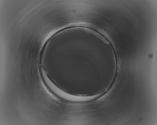 X0000110700989200906261403