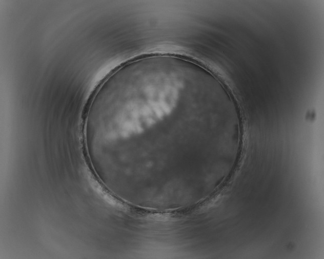 X0000110700990200906261403