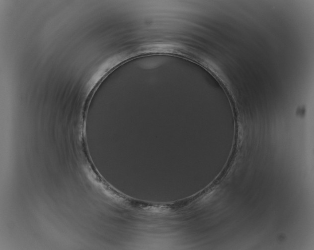 X0000110700994200906261403