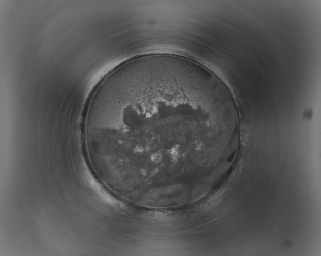 X0000110700995200906261403