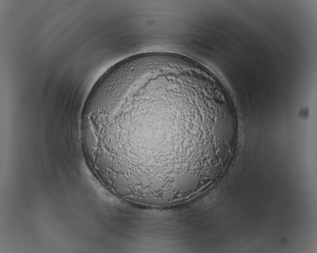 X0000110700996200906261403