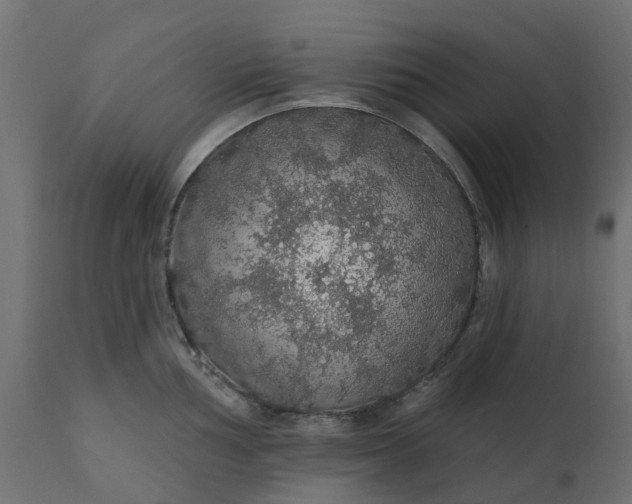 X0000110701002200906261403
