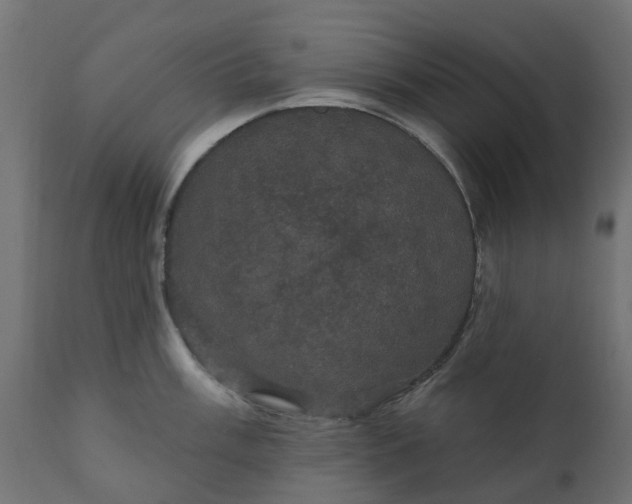 X0000110701003200906261403