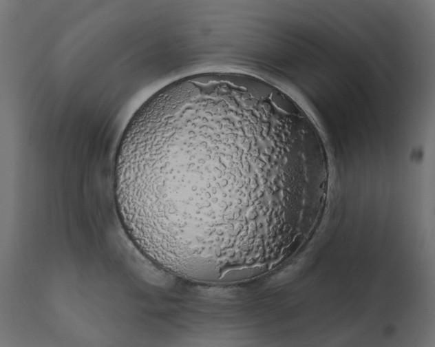 X0000110701004200906261403