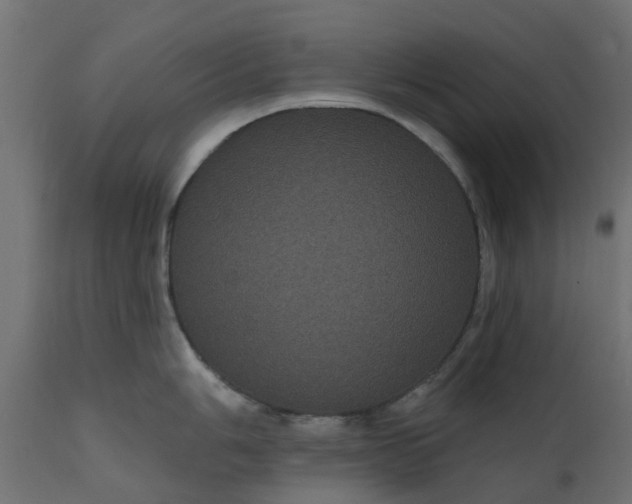 X0000110701006200906261403